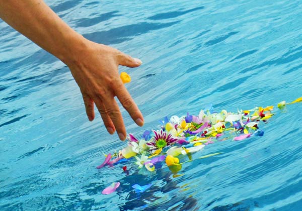 静岡･愛知の葬儀・葬式・家族葬をお探しなら家族葬のトワーズ® ご遺骨と共にお花も一緒に海へ散骨します。イメージ画像
