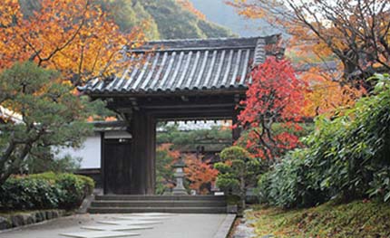 静岡･愛知の葬儀・葬式・家族葬をお探しなら家族葬のトワーズ® 寺院紹介サービスイメージ画像