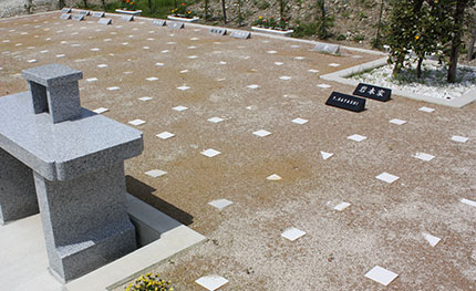 静岡･愛知の葬儀・葬式・家族葬をお探しなら家族葬のトワーズ® 樹木葬のご案内イメージ画像