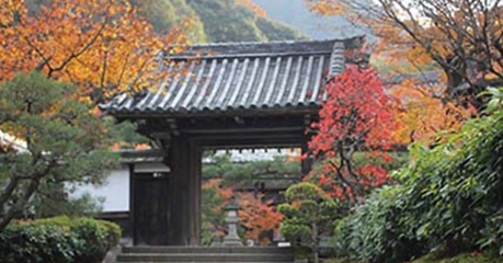 静岡･愛知の葬儀・葬式・家族葬をお探しなら家族葬のトワーズ® 寺院紹介サービス
