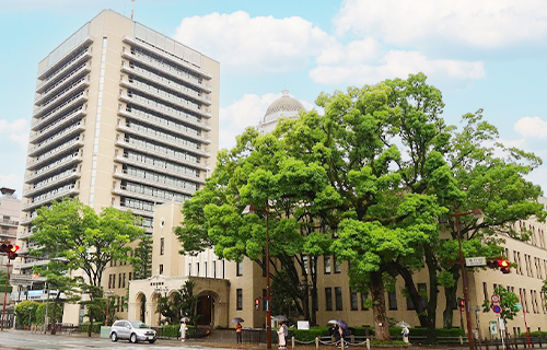 静岡県・愛知県で葬儀・葬式・家族葬をお探しなら家族葬のトワーズ 静岡市役所 静岡庁舎新館・葵区役所 保険年金課のイメージ画像