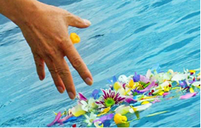 海洋散骨のご案内のイメージ画像