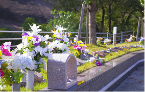 遺樹木葬のご案内のイメージ画像