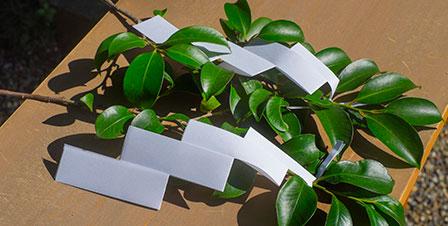 家族葬のトワーズ 神式のイメージ画像