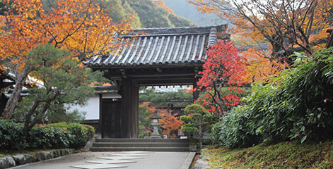 静岡･愛知の葬儀・葬式・家族葬をお探しなら家族葬のトワーズ® 寺院紹介サービスイメージ画像