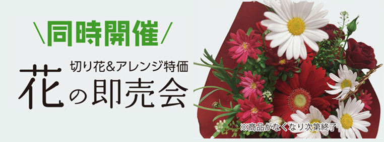 静岡市で葬儀をお考えなら家族葬のトワーズへ！