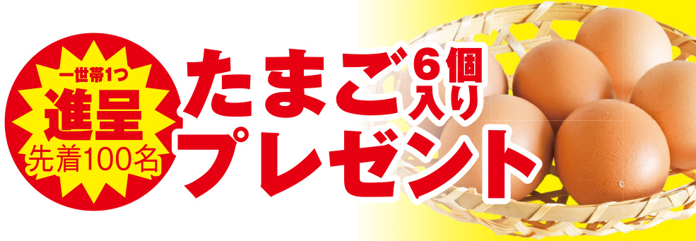 静岡市で葬儀をご検討なら家族葬のトワーズへ