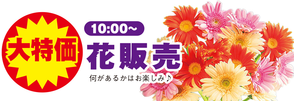 静岡市で葬儀をご検討なら家族葬のトワーズへ