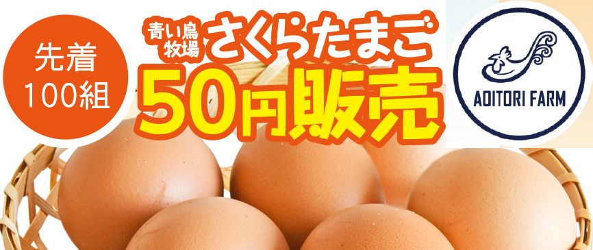 浜松市で葬儀をご検討なら家族葬のトワーズへ