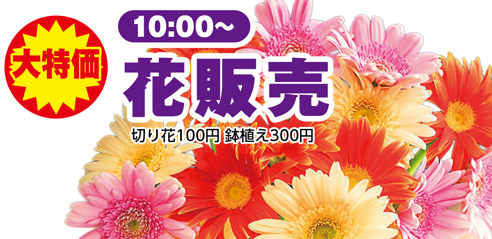 豊川市で葬儀を行うなら家族葬のトワーズへ