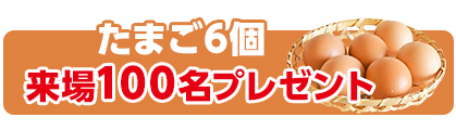 静岡市でご葬儀を検討されている、不安なことがある場合はどうぞお気軽に家族葬のトワーズへご相談ください