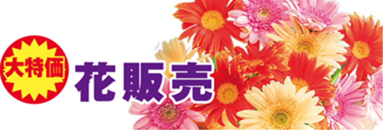 静岡市清水区で葬儀をご検討なら家族葬のトワーズへ