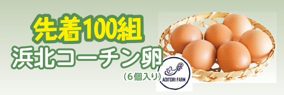 浜松市で葬儀をご検討なら家族葬のトワーズへ!