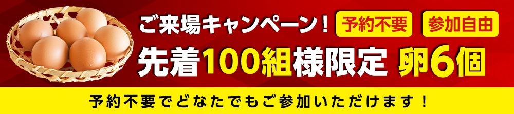 来場特典!先着100組限定「卵6個」