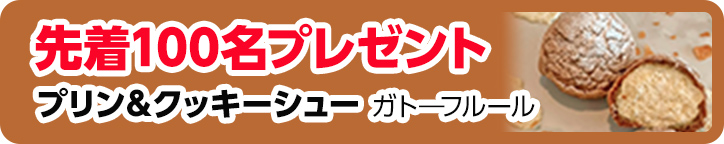 豊川市で葬儀をご検討なら家族葬のトワーズへ