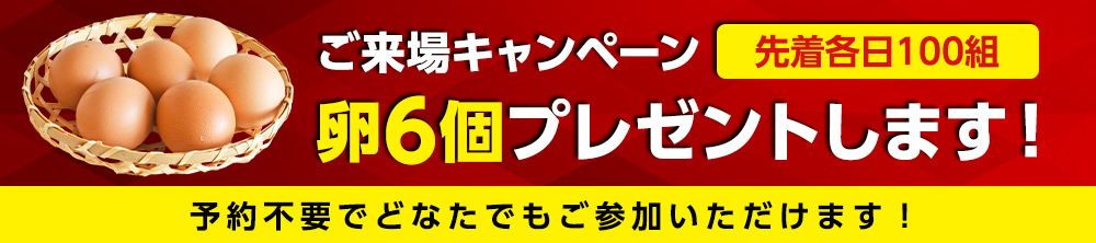 ご来場特典!卵6個プレゼント