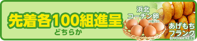 浜松の葬儀なら家族葬のトワーズ！浜松南は13周年