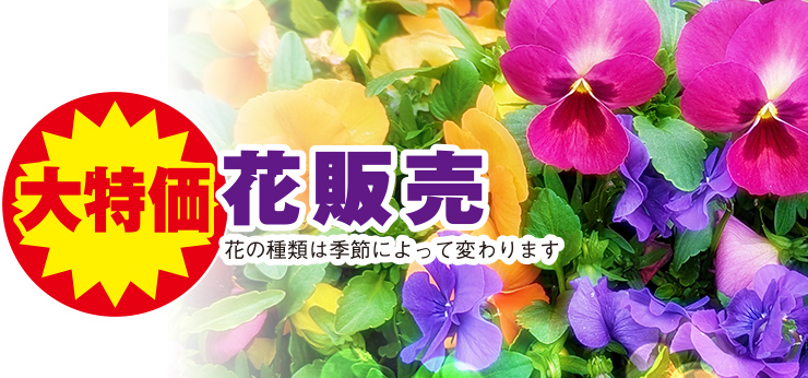 静岡市にて葬儀・家族葬をご検討なら家族葬のトワーズへ 静岡宮竹1周年イベント開催!