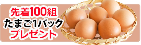 静岡市で葬儀・家族葬をご検討なら家族葬のトワーズへ