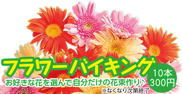 磐田市で葬儀・家族葬をご検討なら家族葬のトワーズ 磐田豊田へ